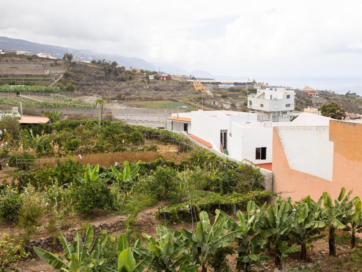 Live Icod Buen Paso Daire Icod De Los Vinos Dış mekan fotoğraf